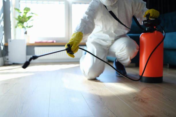 Best Flea Control Services  in St Paul Park, MN