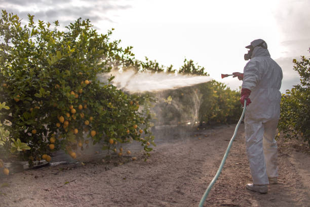 Best Residential Pest Control  in St Paul Park, MN