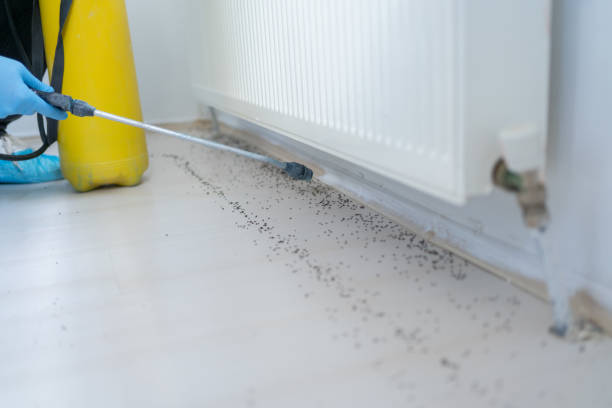 Professional Pest Control in St Paul Park, MN